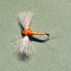 Mayfly Spinner CDC Biot